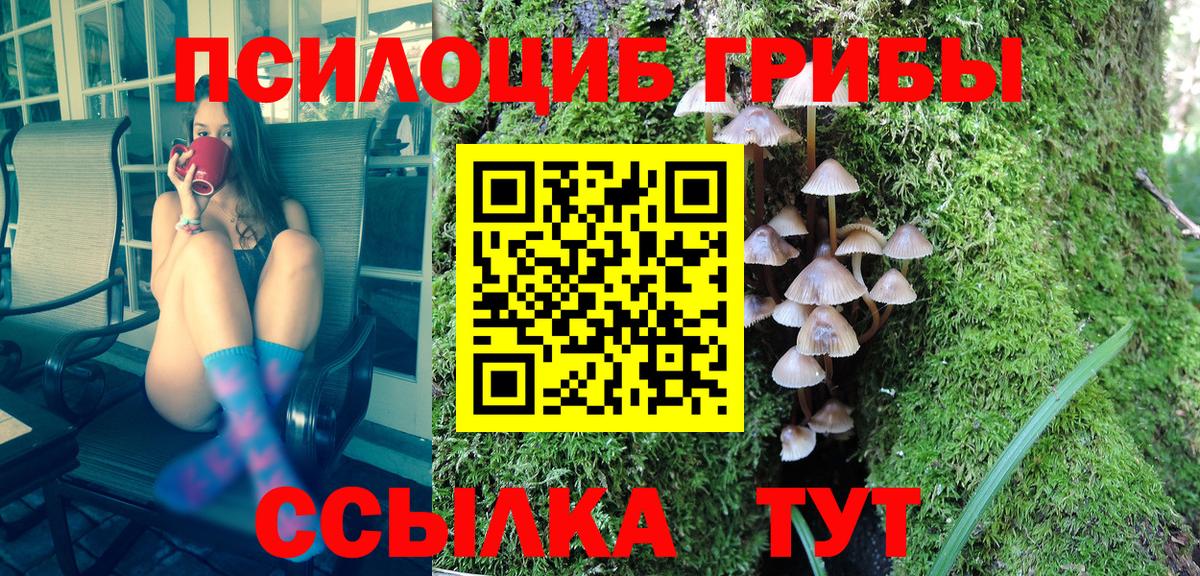 Галлюциногенные грибы ЛСД Кимры