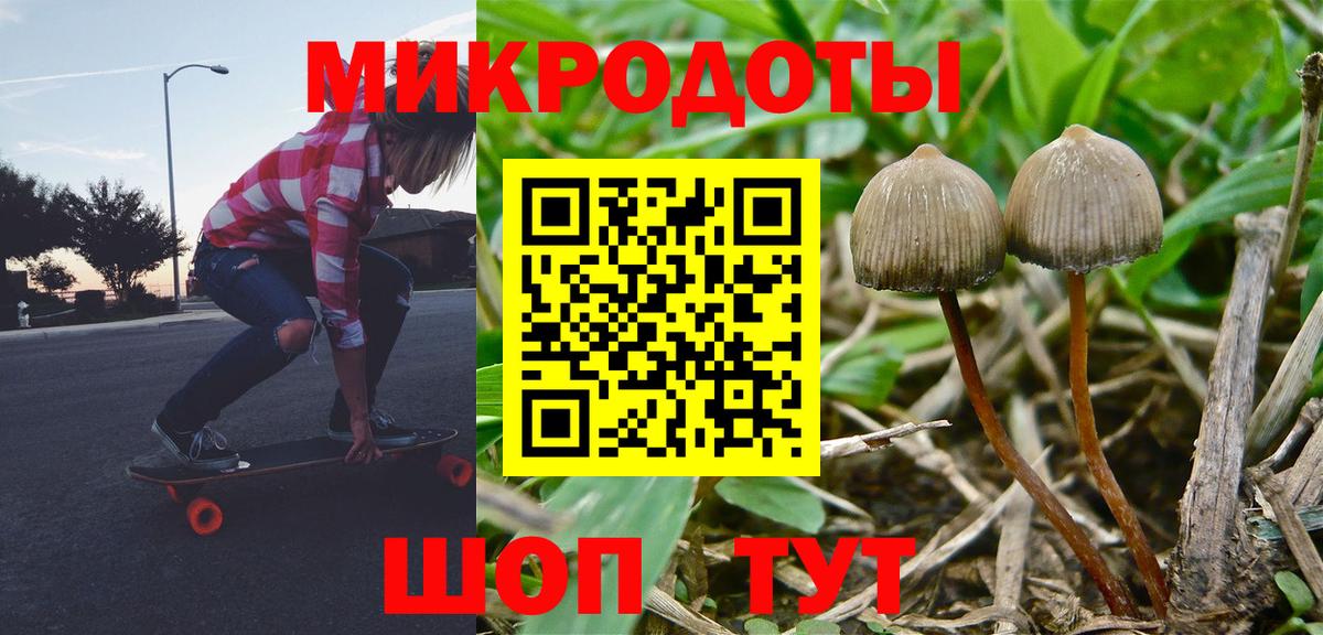 купить наркоту  Псилоцибиновые грибы Magic Shrooms  Кимры  Вход с VPN  Галлюциногенные грибы Psilocybine cubensis 